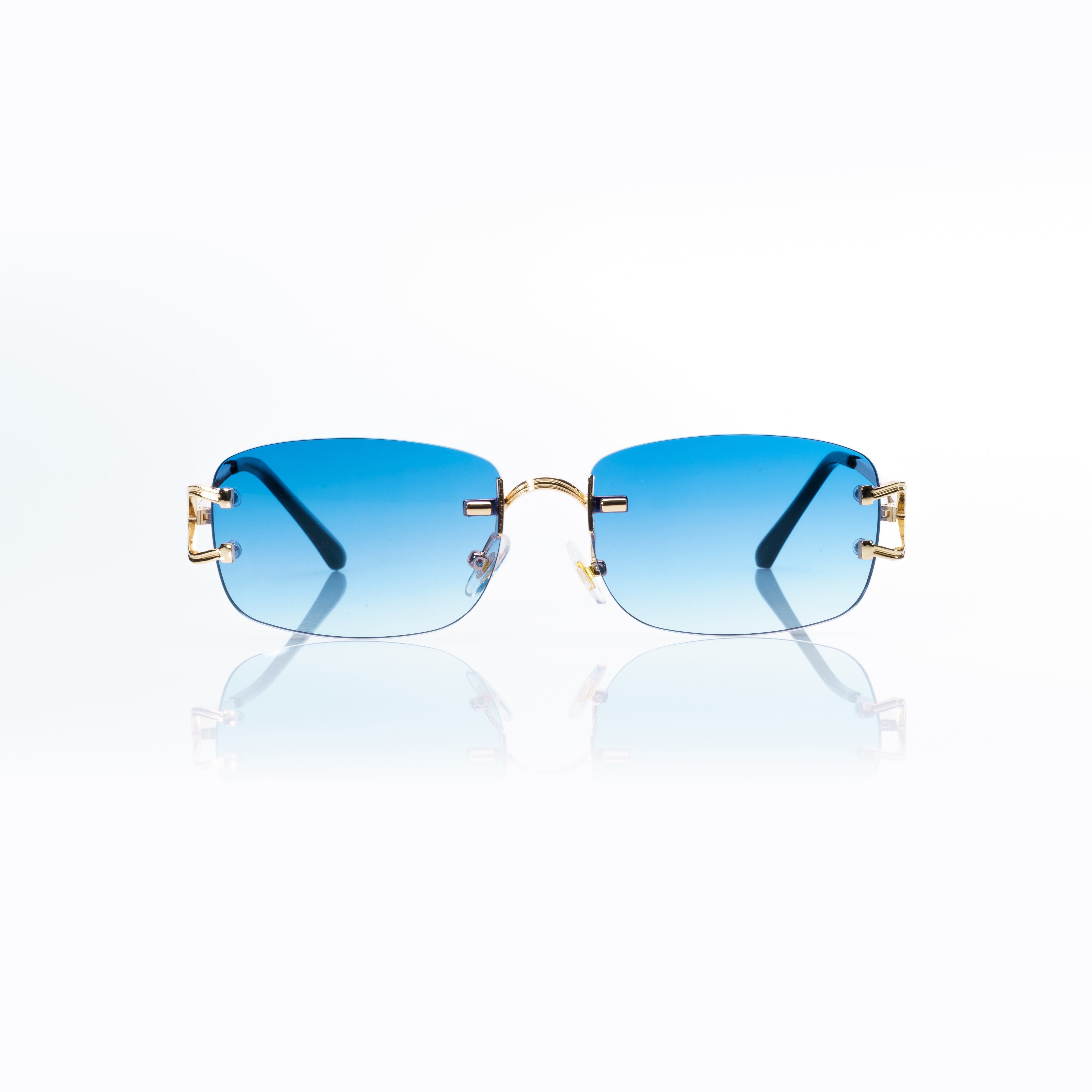 Vision Optik