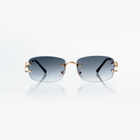 Vision Optik