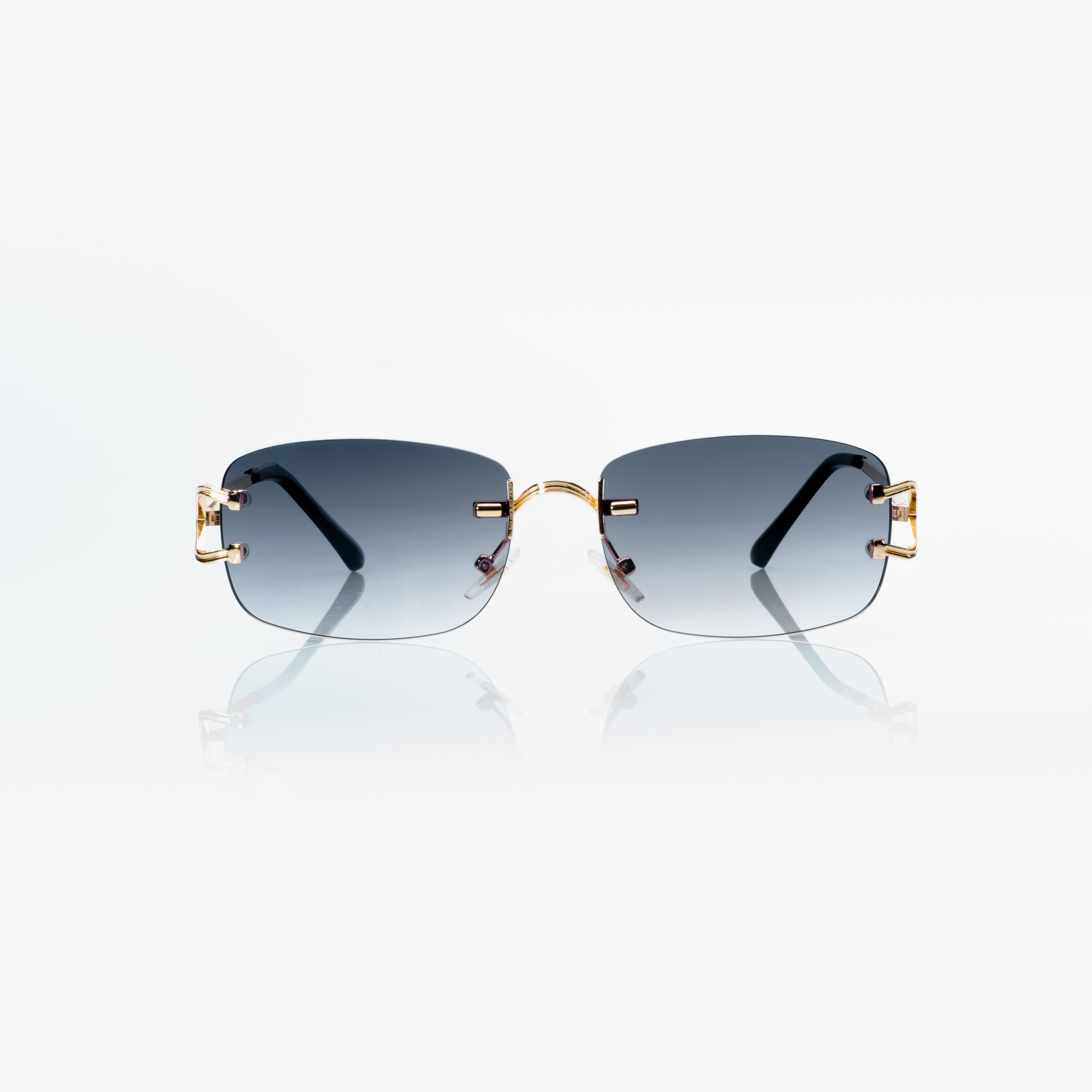 Vision Optik