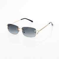 Vision Optik