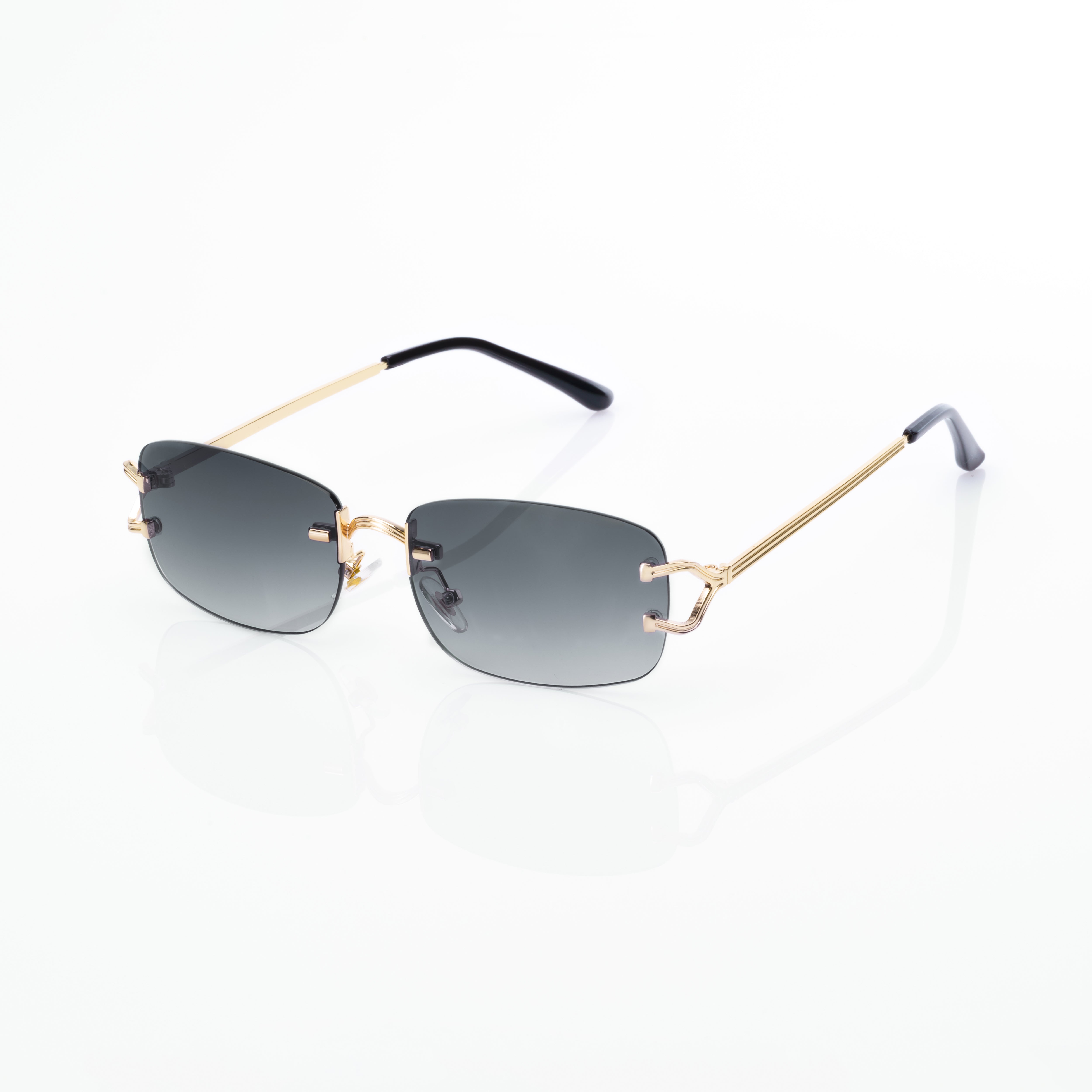 Vision Optik