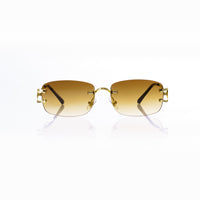 Vision Optik