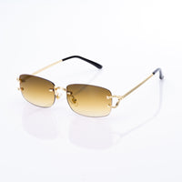 Vision Optik