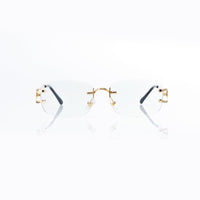 Vision Optik
