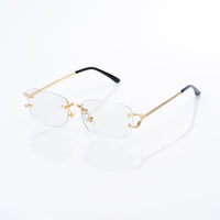 Vision Optik