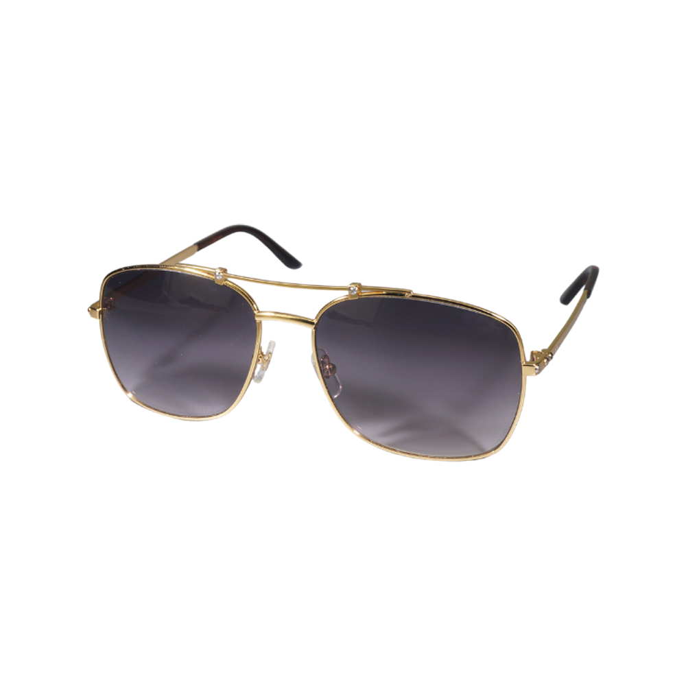 Vision Optik