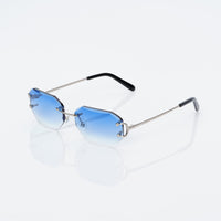 Vision Optik