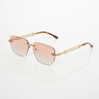 Vision Optik