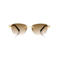 Vision Optik