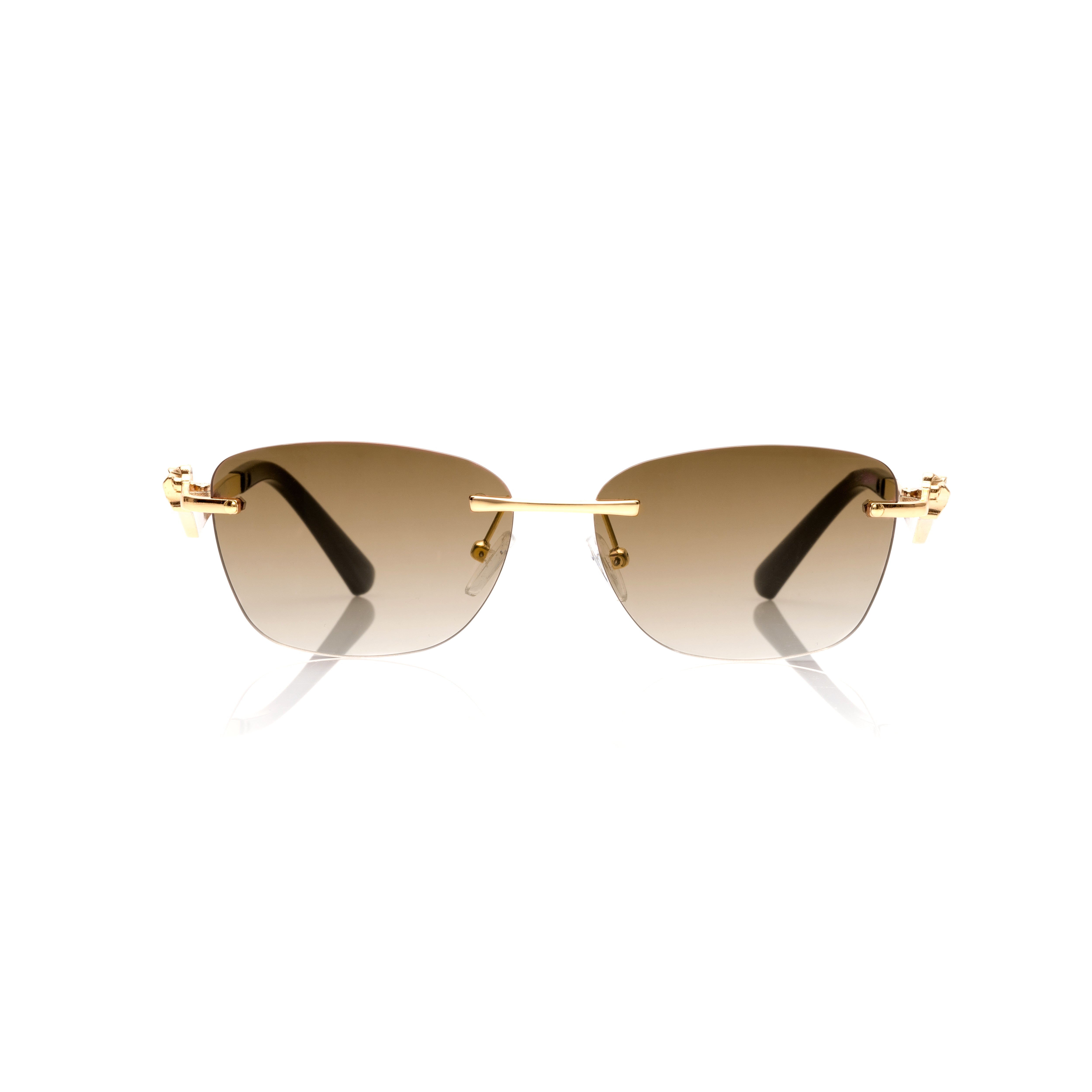 Vision Optik