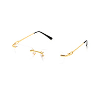 Vision Optik