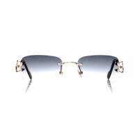 Vision Optik