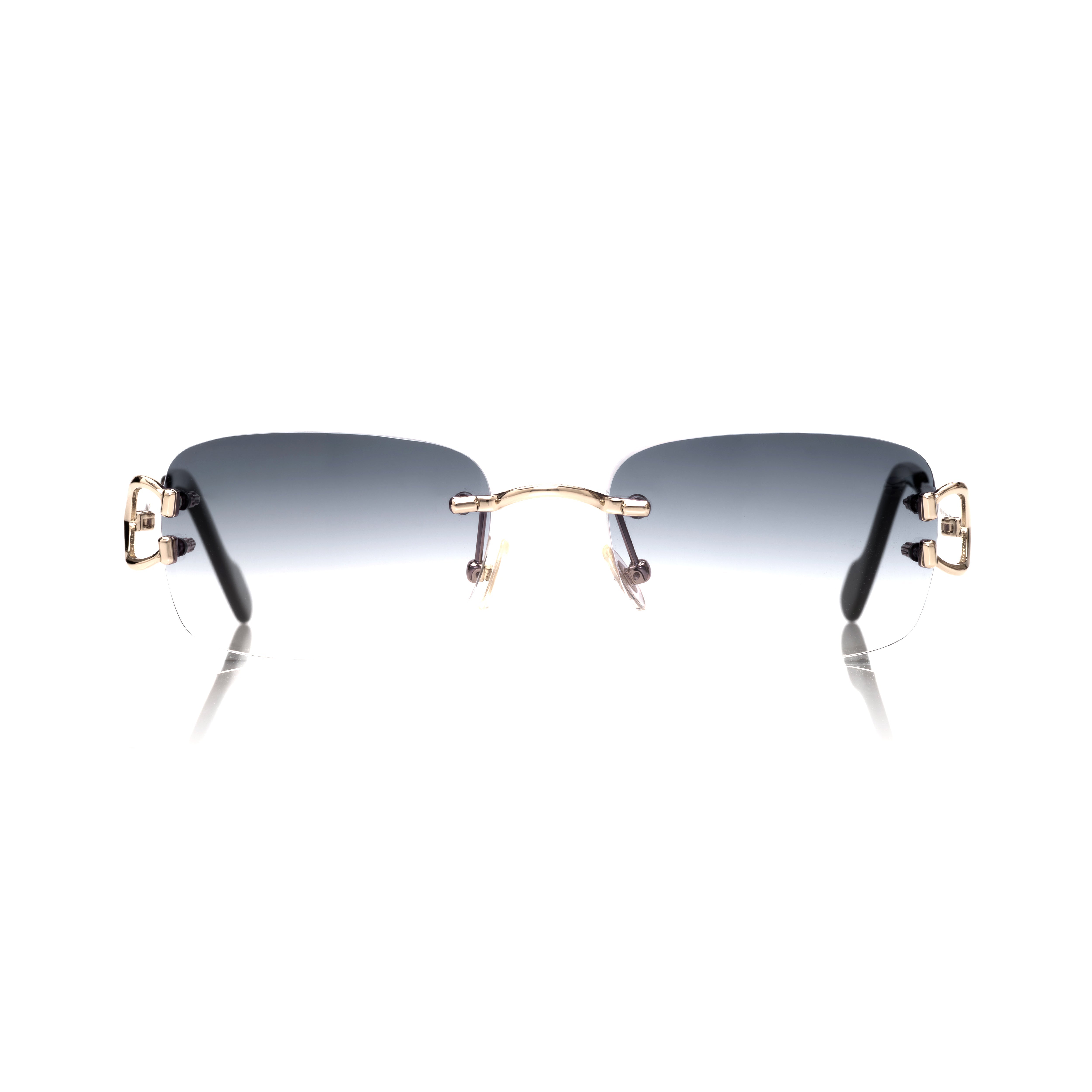 Vision Optik