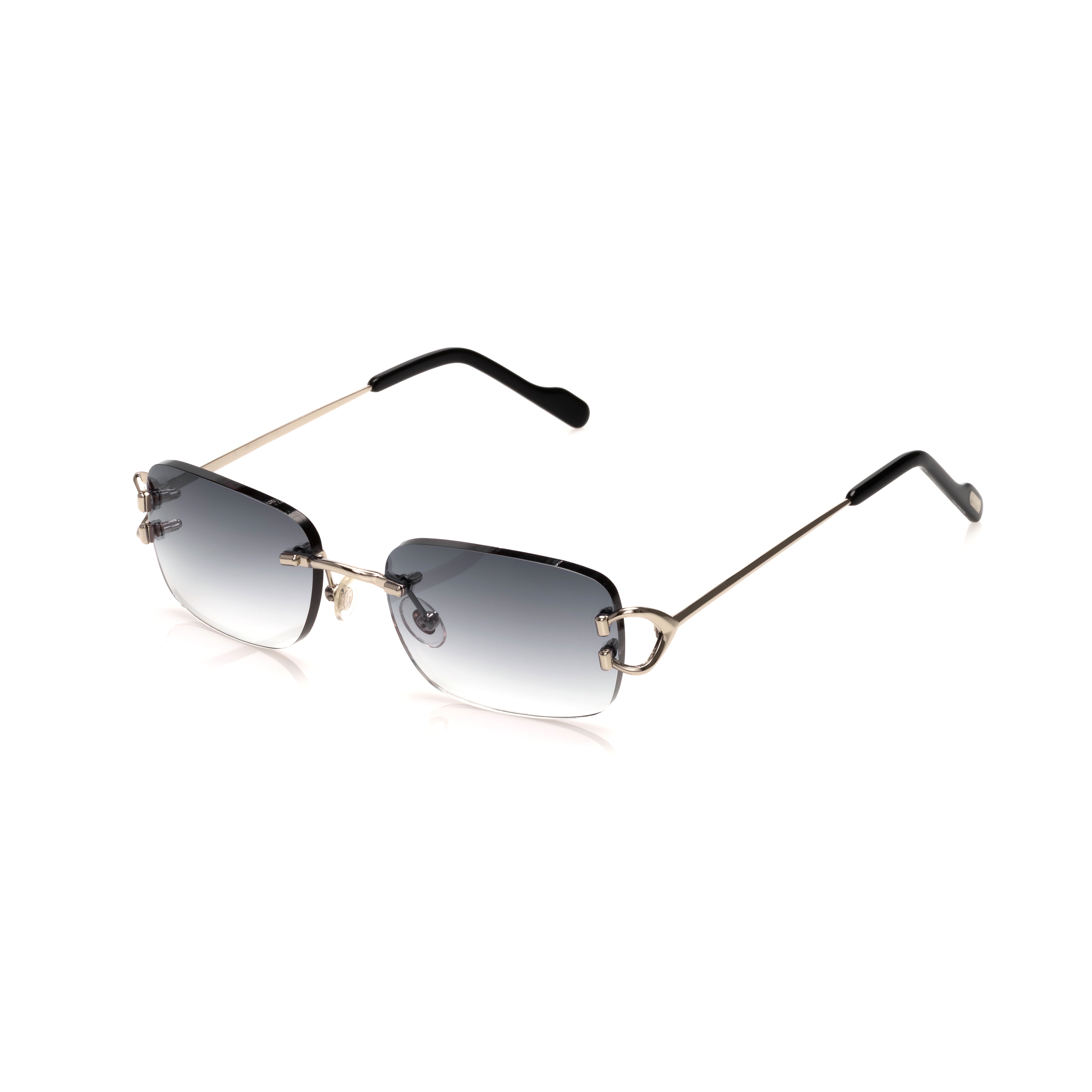 Vision Optik
