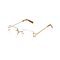 Vision Optik