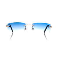 Vision Optik