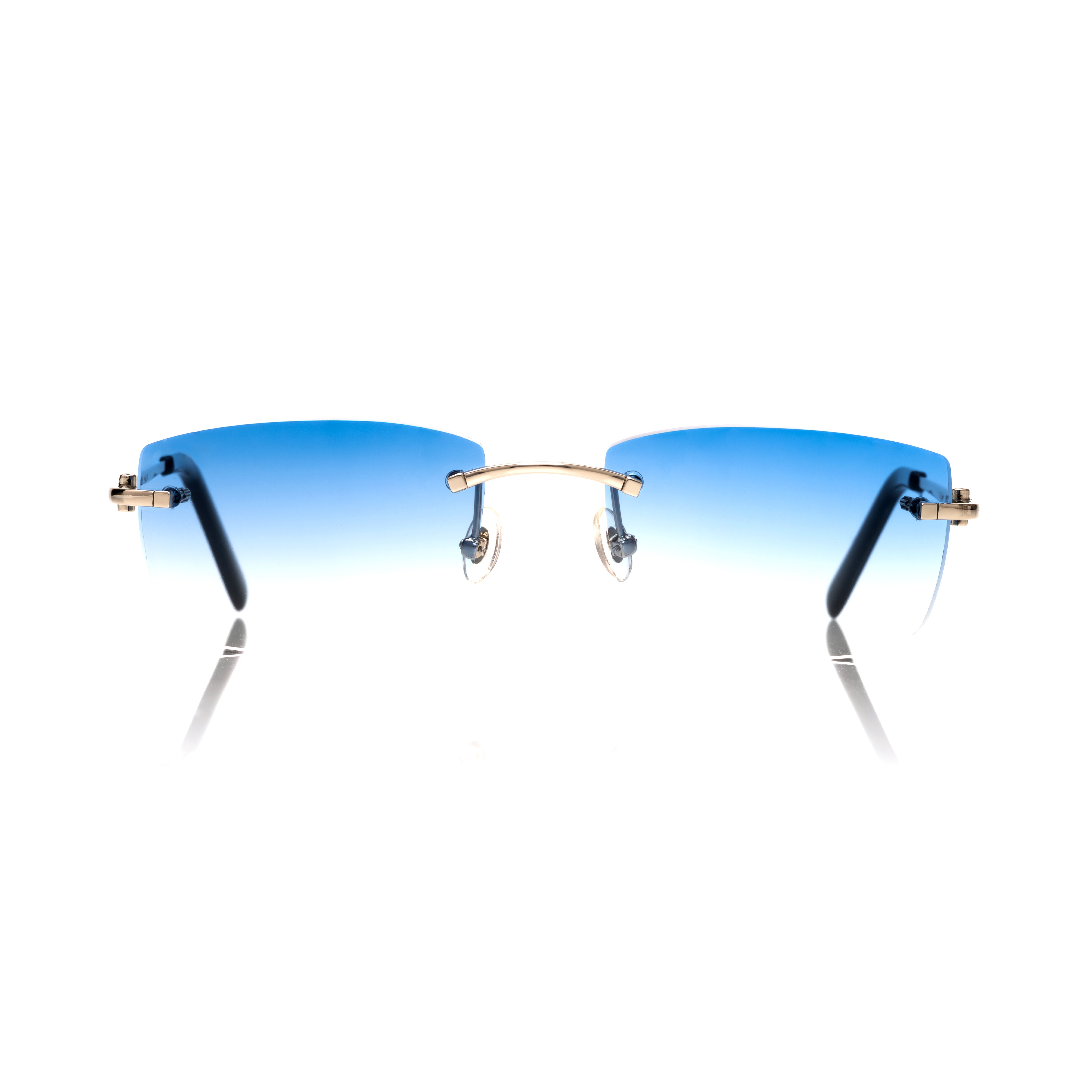 Vision Optik