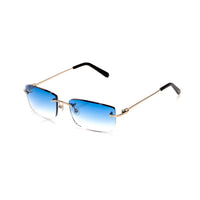 Vision Optik