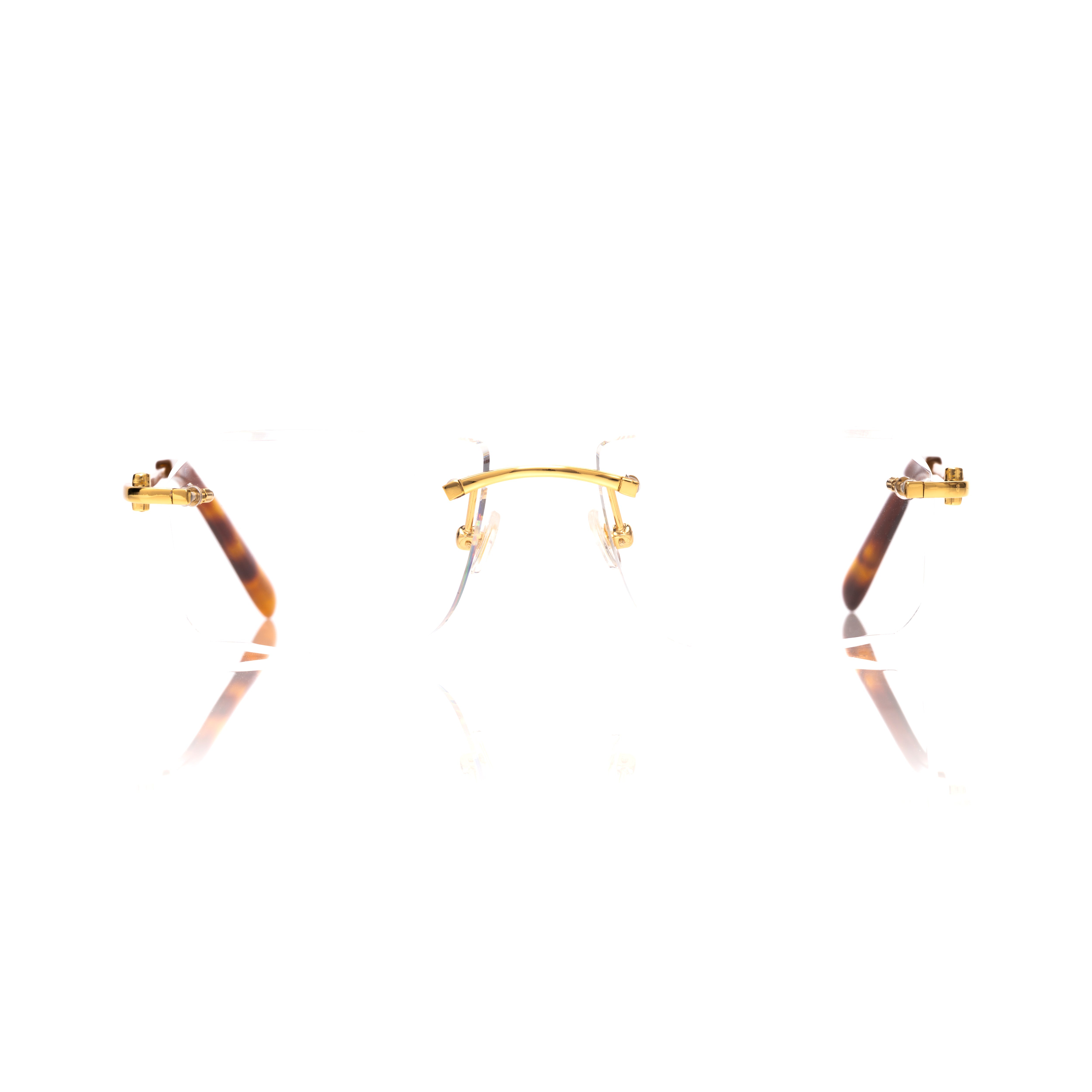 Vision Optik