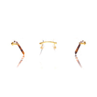 Vision Optik