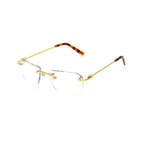 Vision Optik