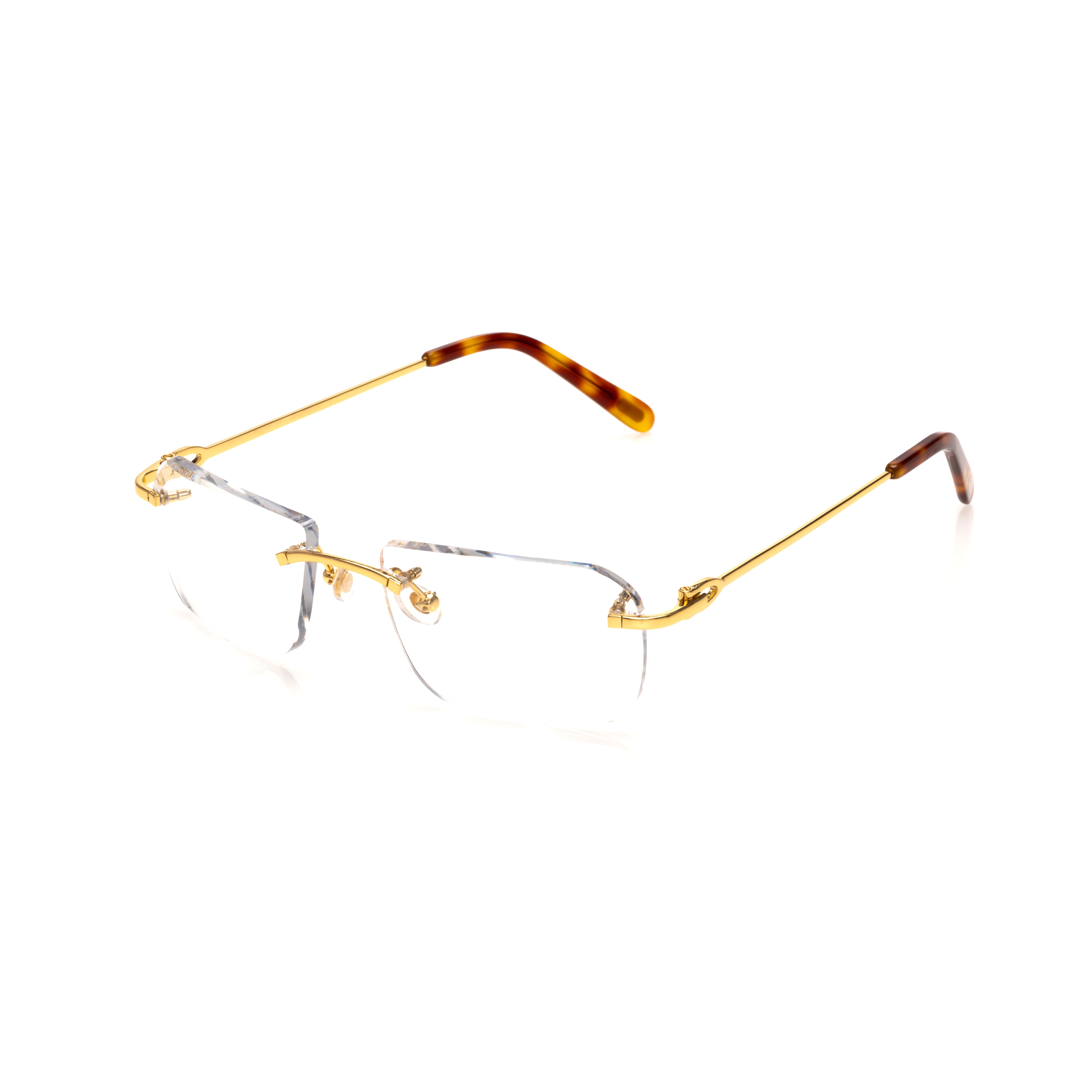 Vision Optik