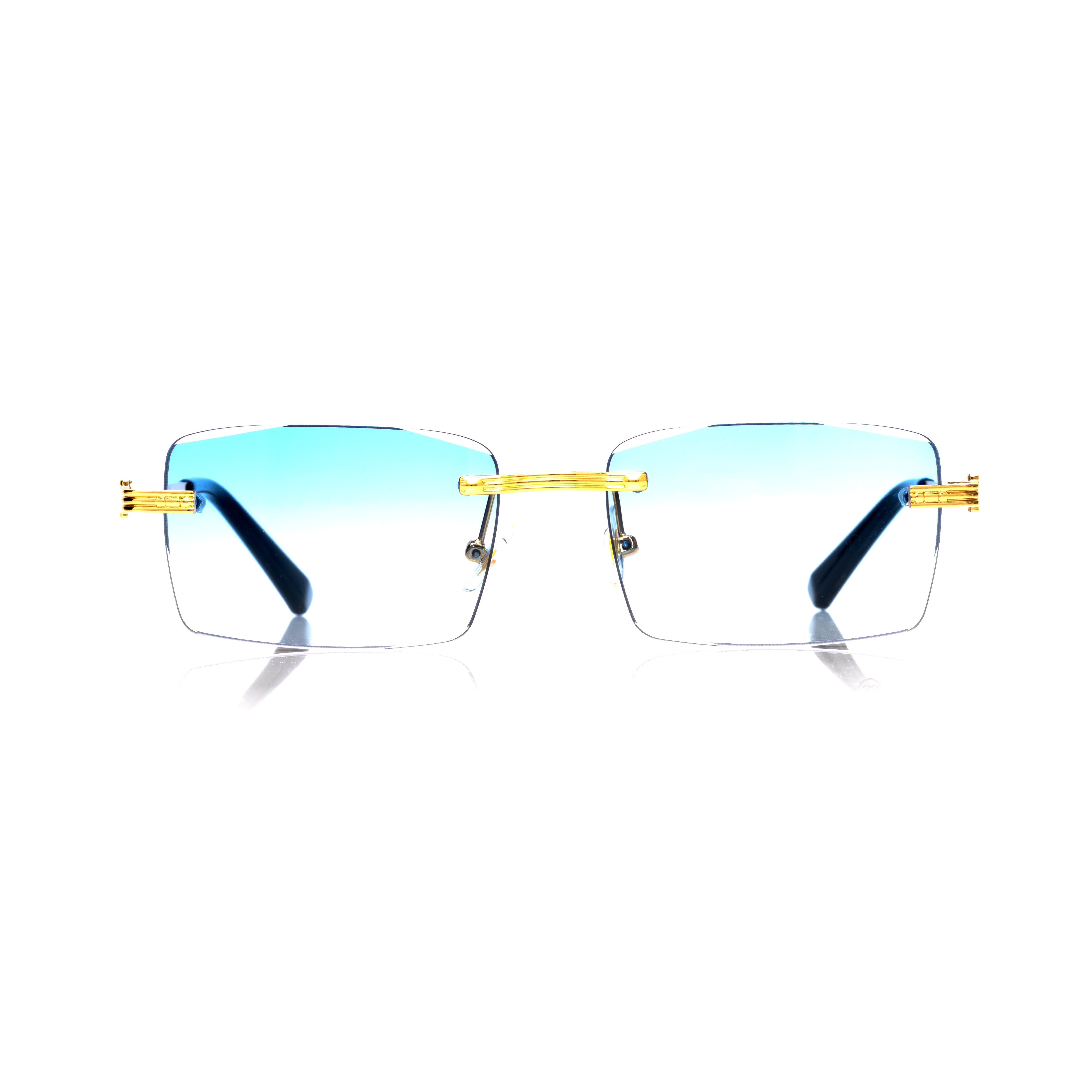 Vision Optik