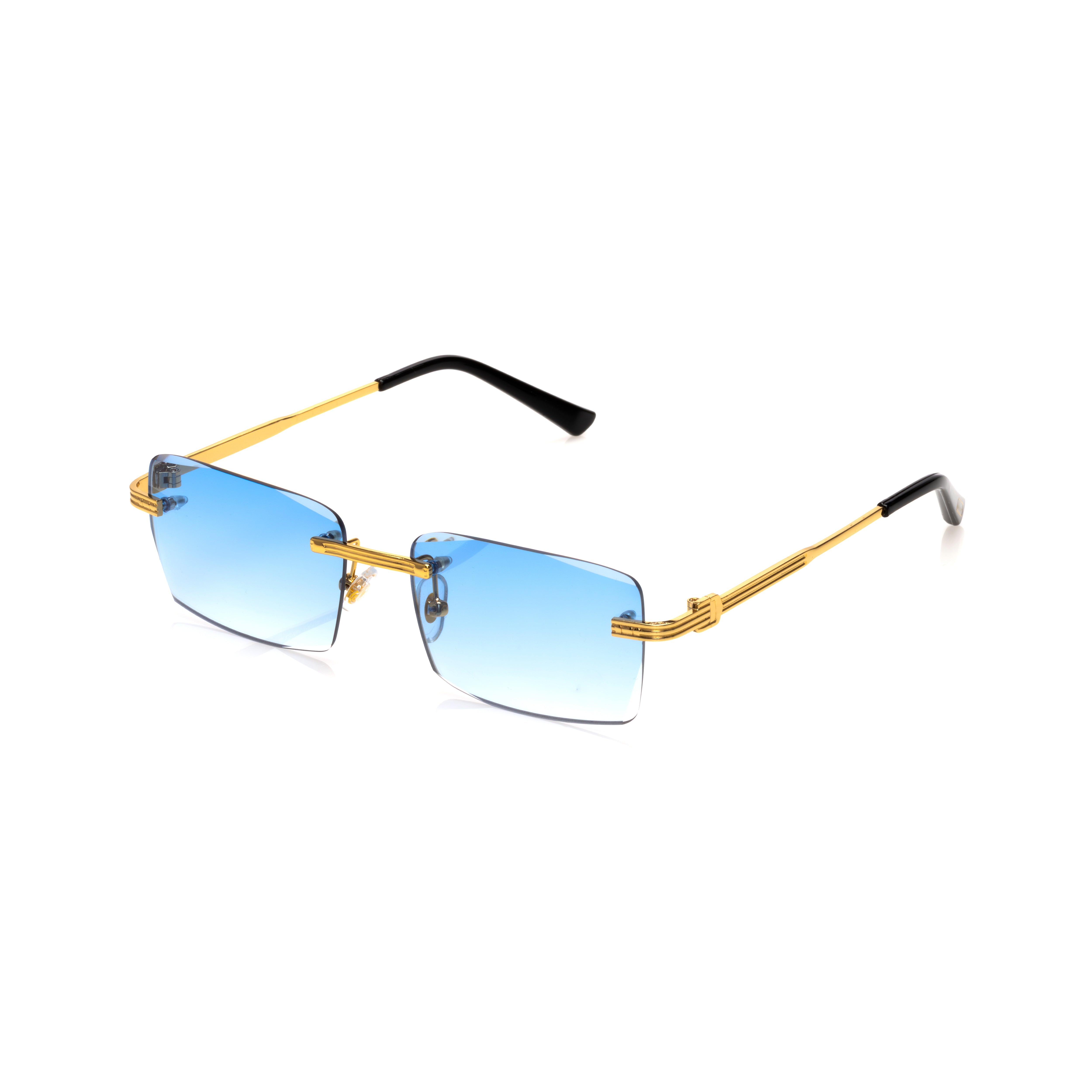 Vision Optik