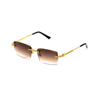 Vision Optik
