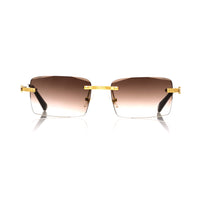 Vision Optik
