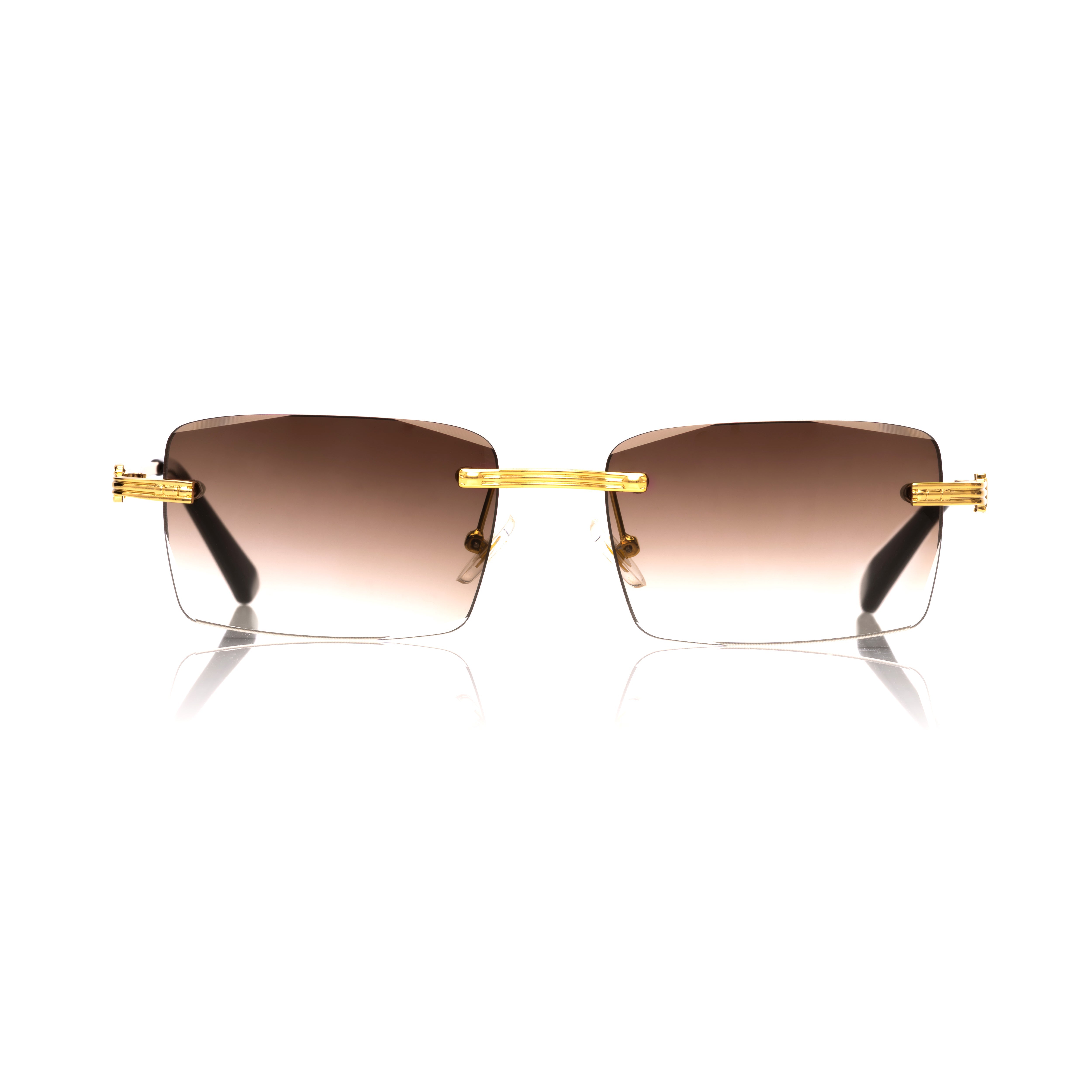 Vision Optik
