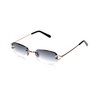 Vision Optik