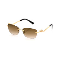 Vision Optik