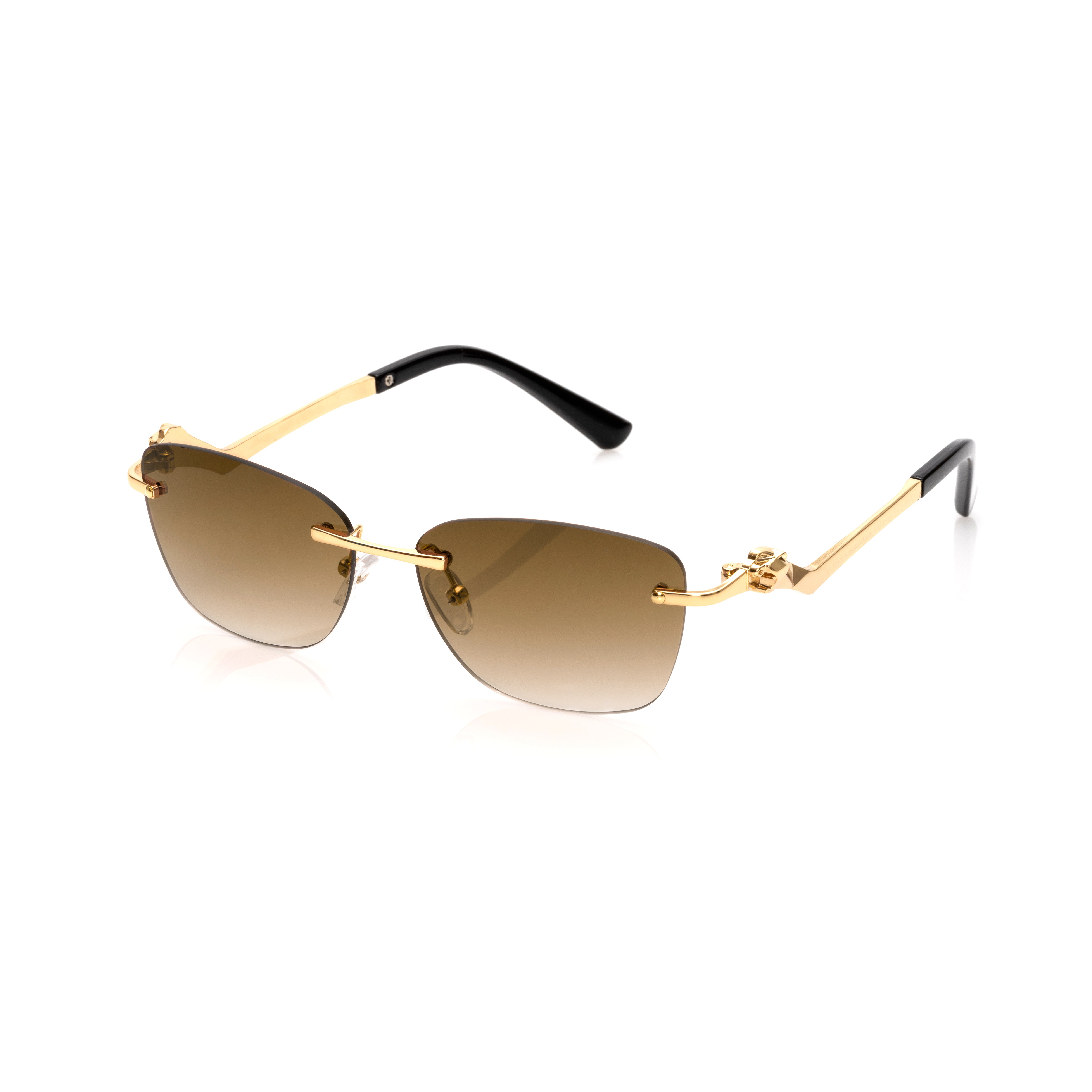 Vision Optik