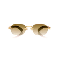 Vision Optik