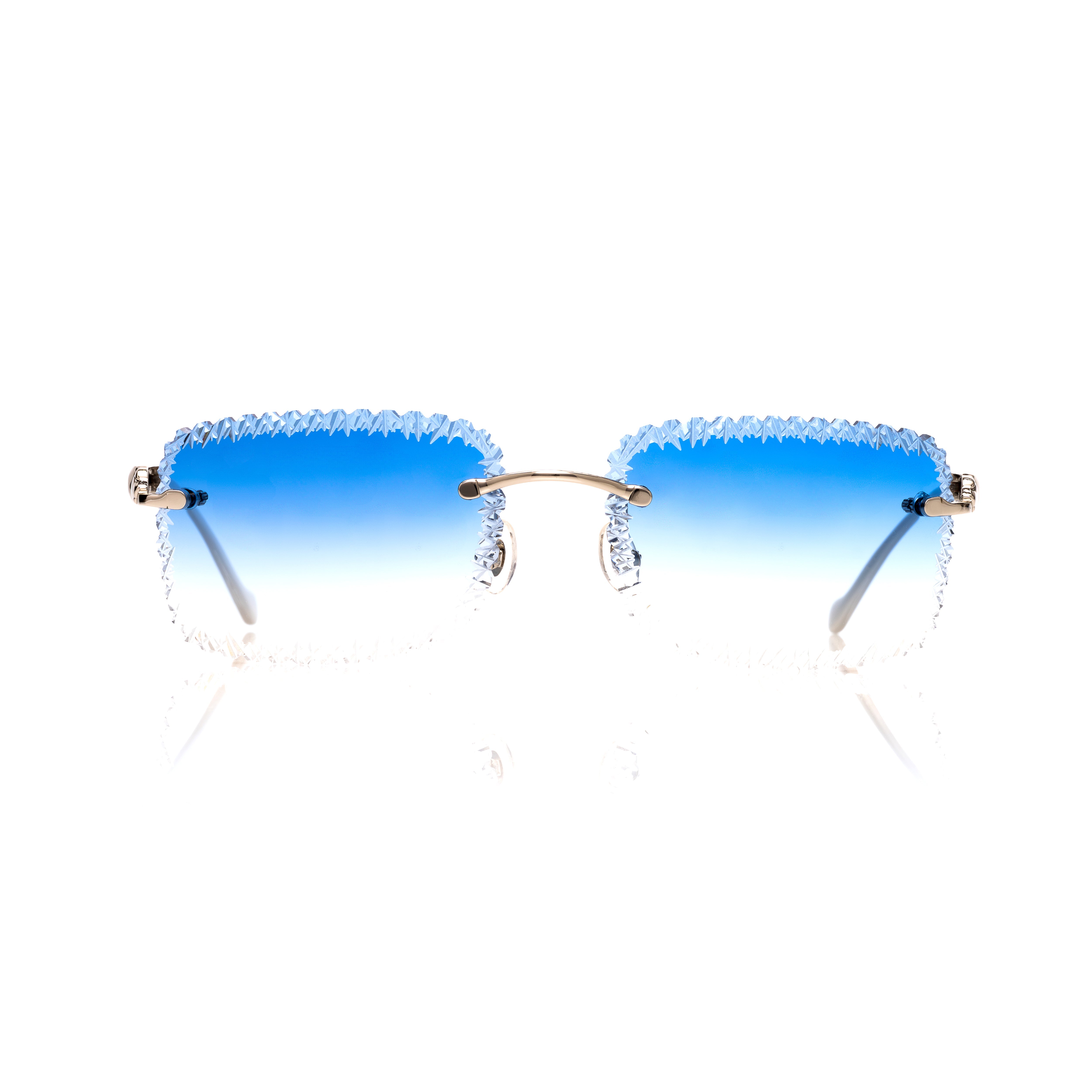 Vision Optik