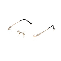 Vision Optik
