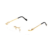 Vision Optik
