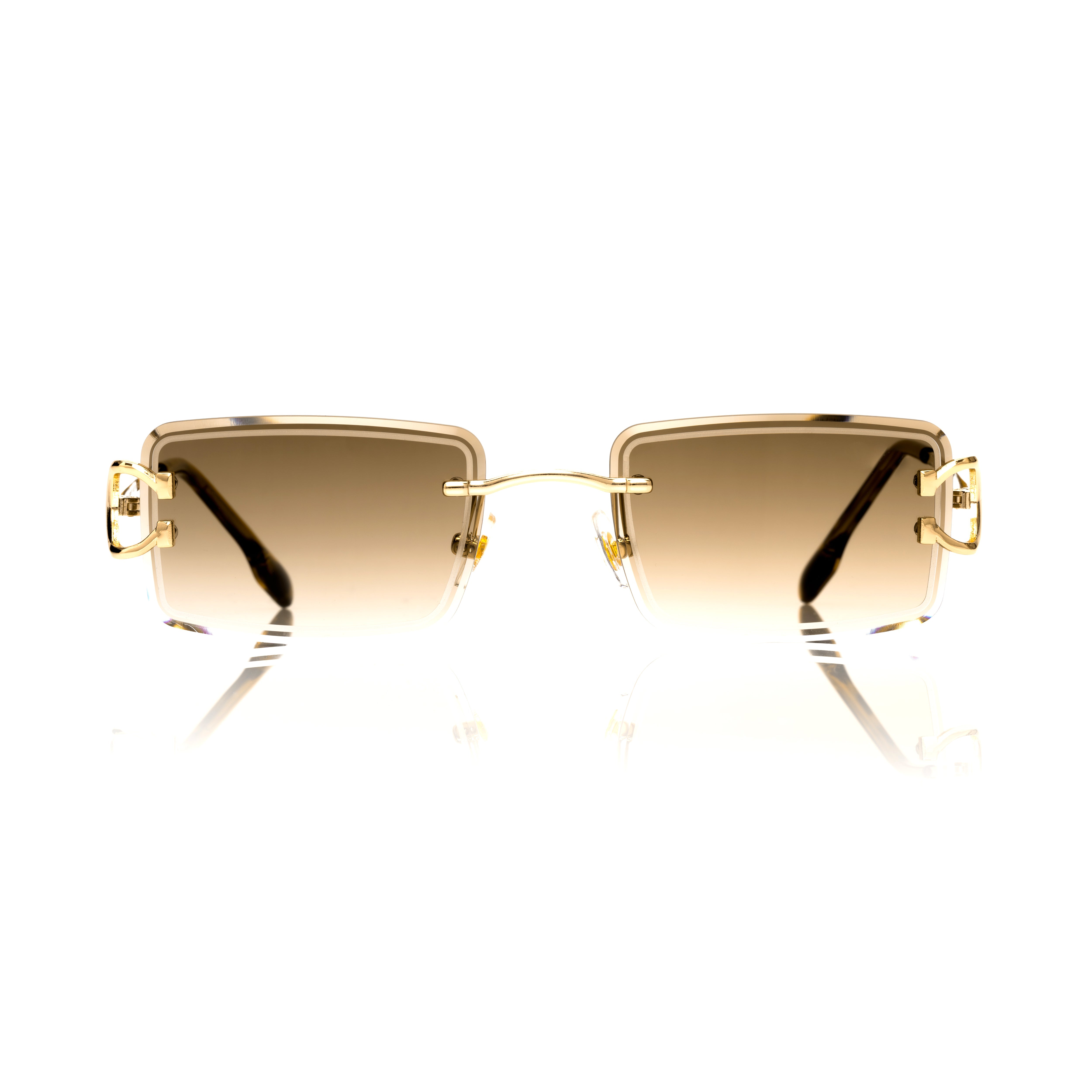 Vision Optik
