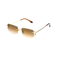 Vision Optik