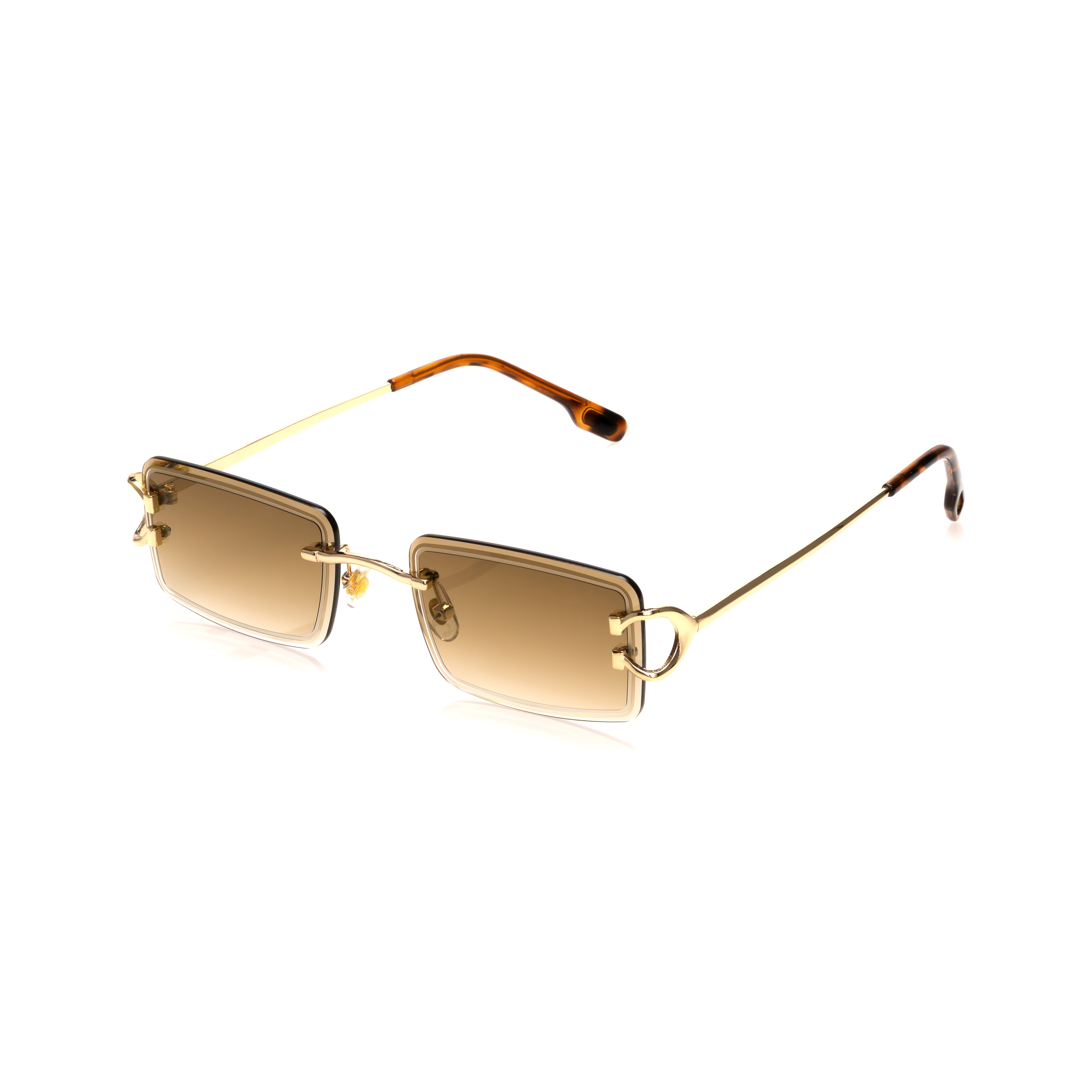 Vision Optik