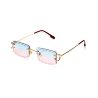 Vision Optik