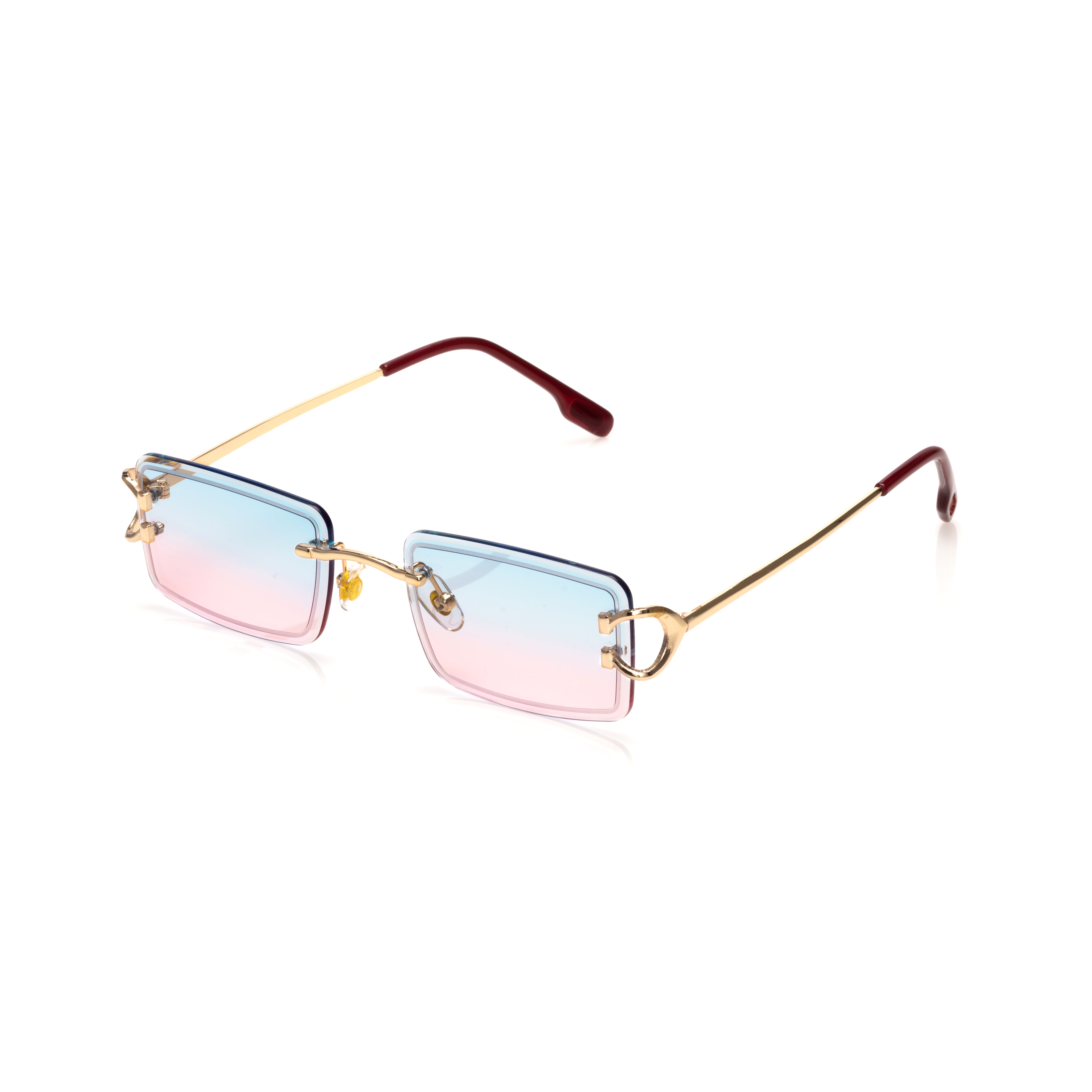 Vision Optik