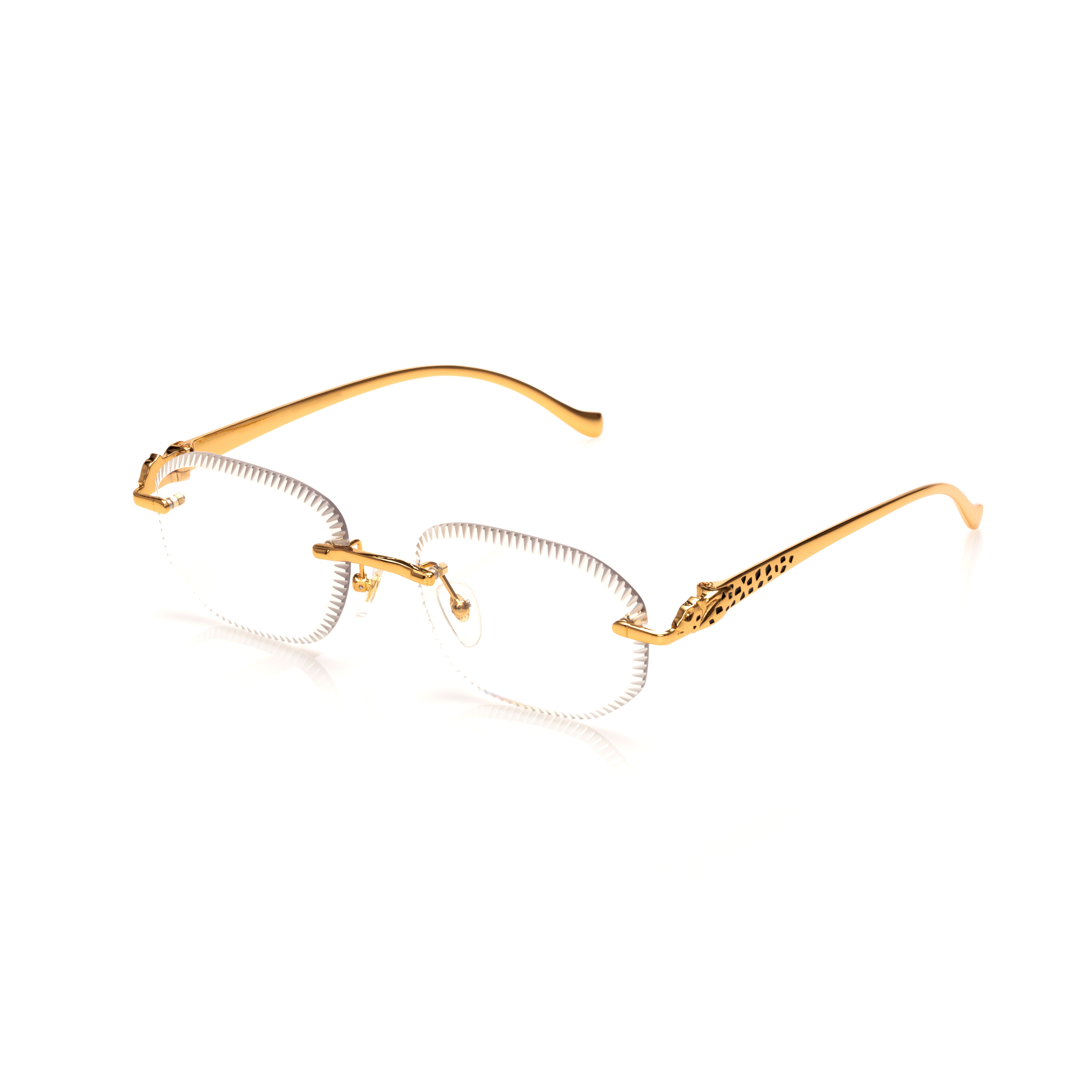 Vision Optik