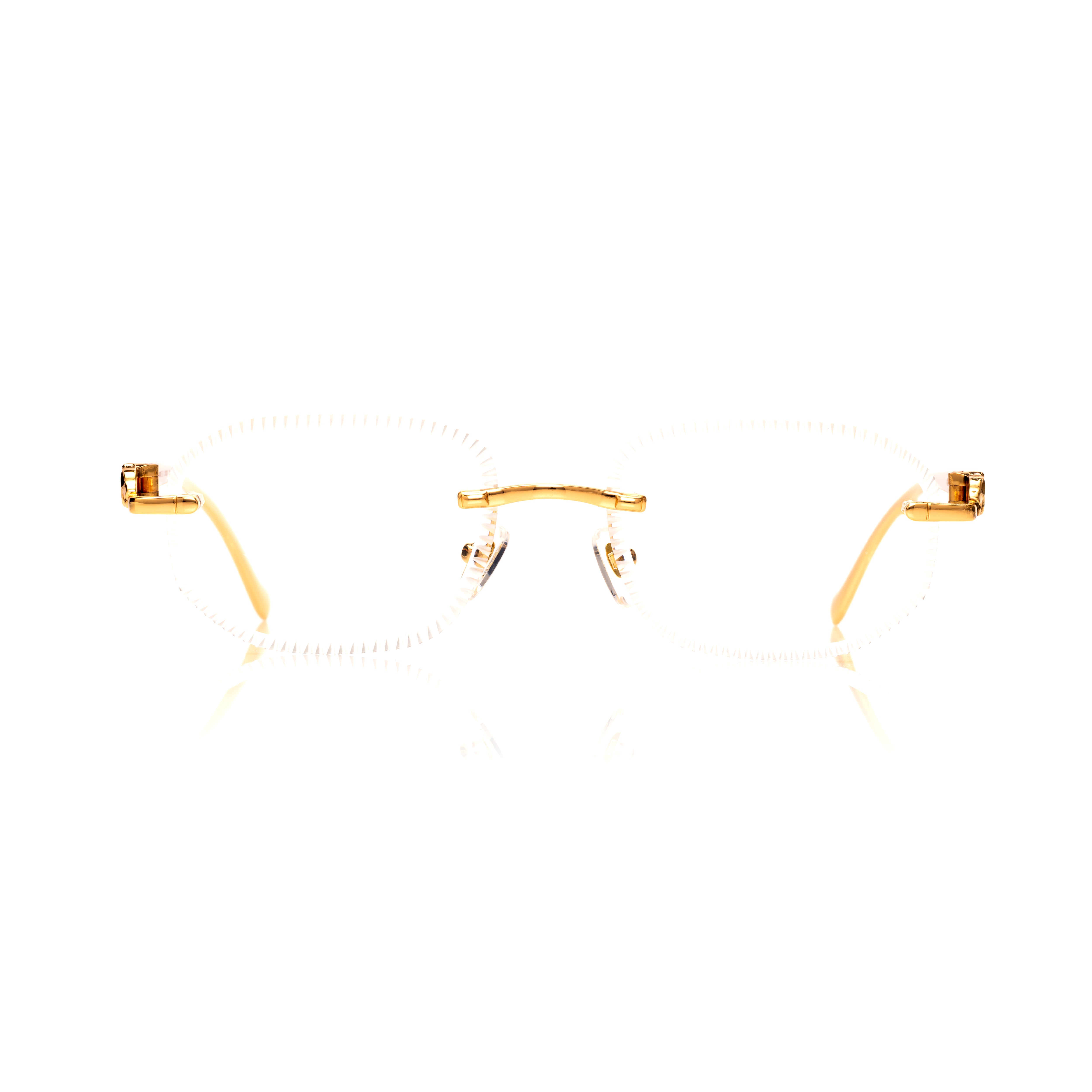 Vision Optik
