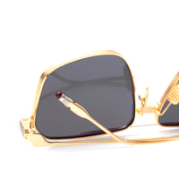 Vision Optik
