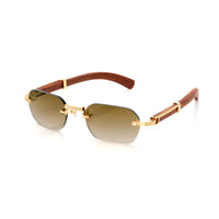 Vision Optik