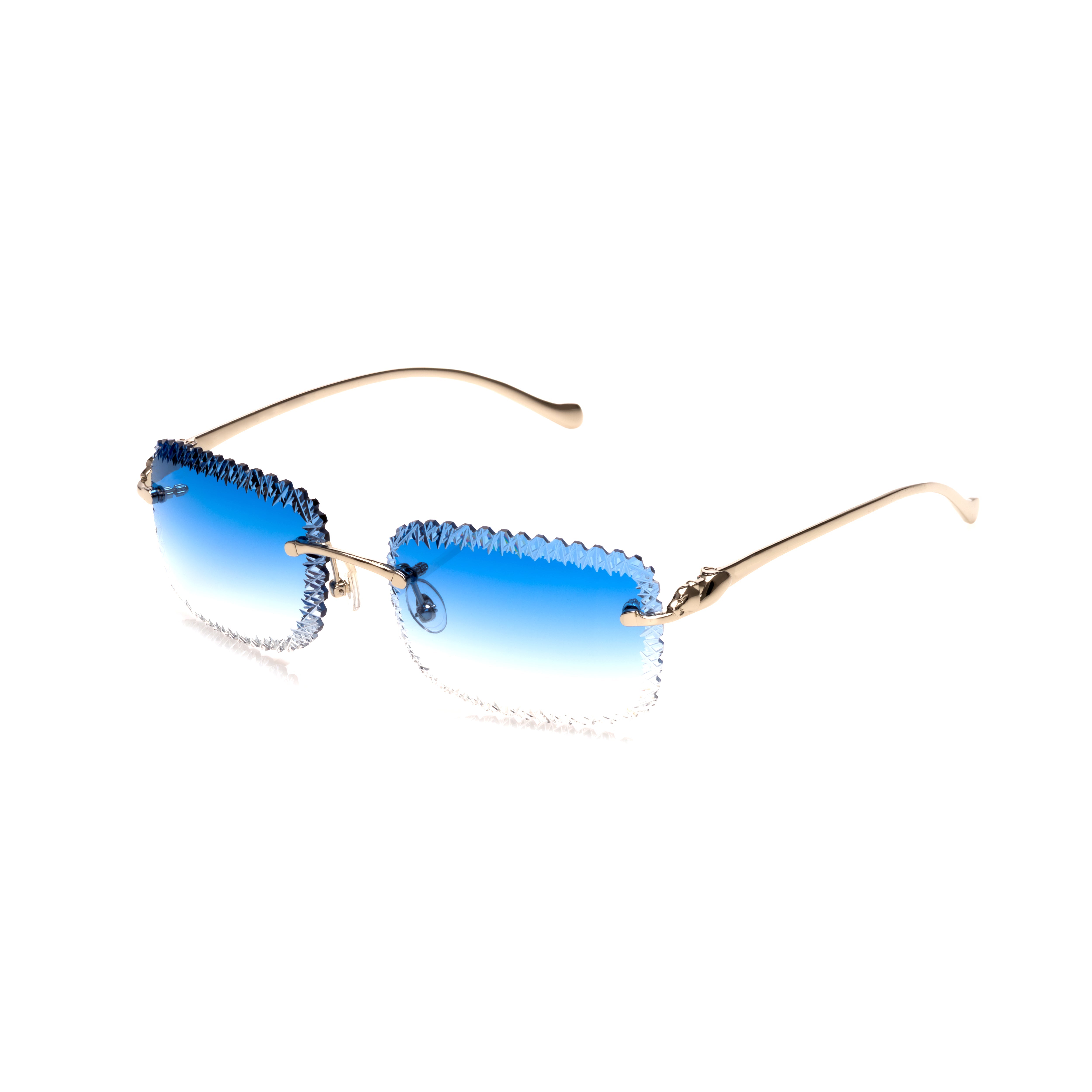 Vision Optik