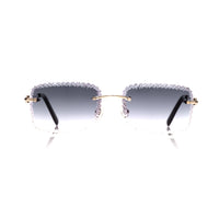 Vision Optik