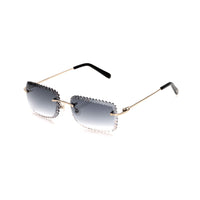 Vision Optik